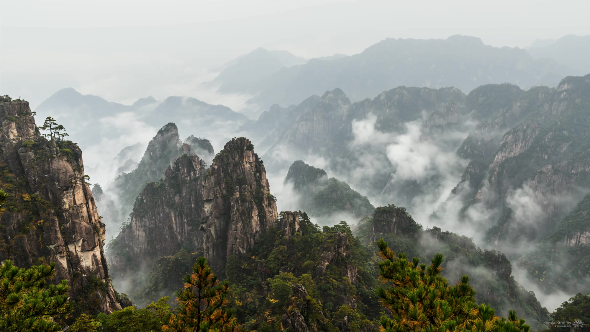 美之壶日本刀1080p中日双语