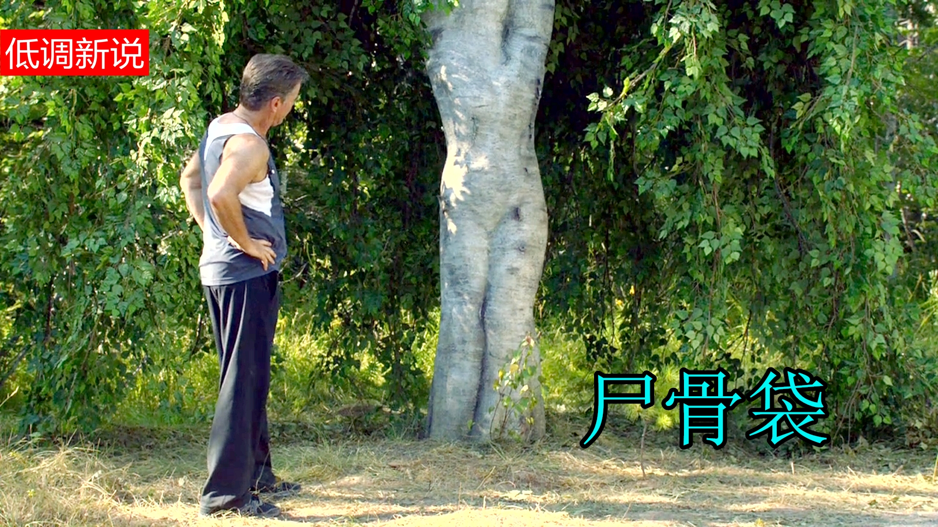 奇幻片:男主发现一颗人形树,用手摸了一下,结果闯了大祸!