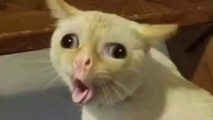 迷惑行为大赏