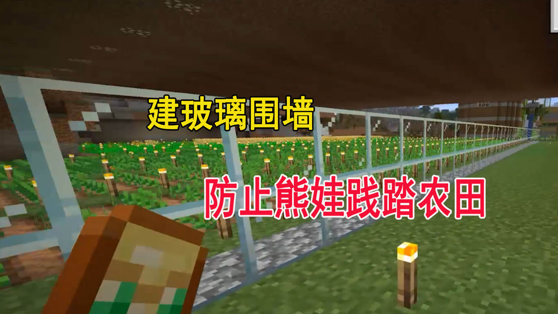 我的世界1.16联机54:铁块再次被迪哥回收,农场扩建一期项目完成