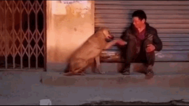 不疯魔不成活