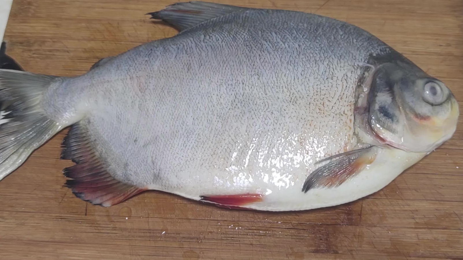 槽鱼美味,鲜鲜鲜