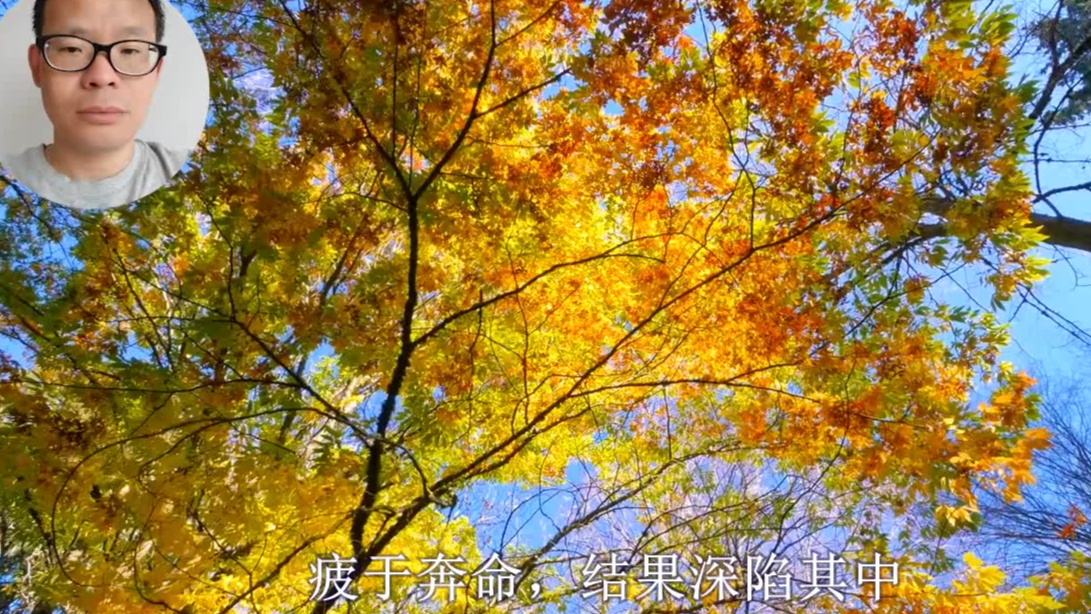 焦虑与神经质