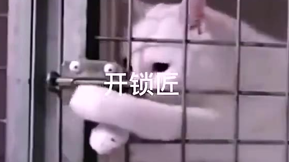 是时候给自己打工挣猫粮吃了