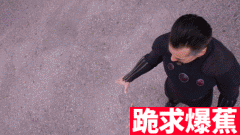 ★跪求爆蕉★网络上常见的经典gif动态图源视频集合 第一百八十四期