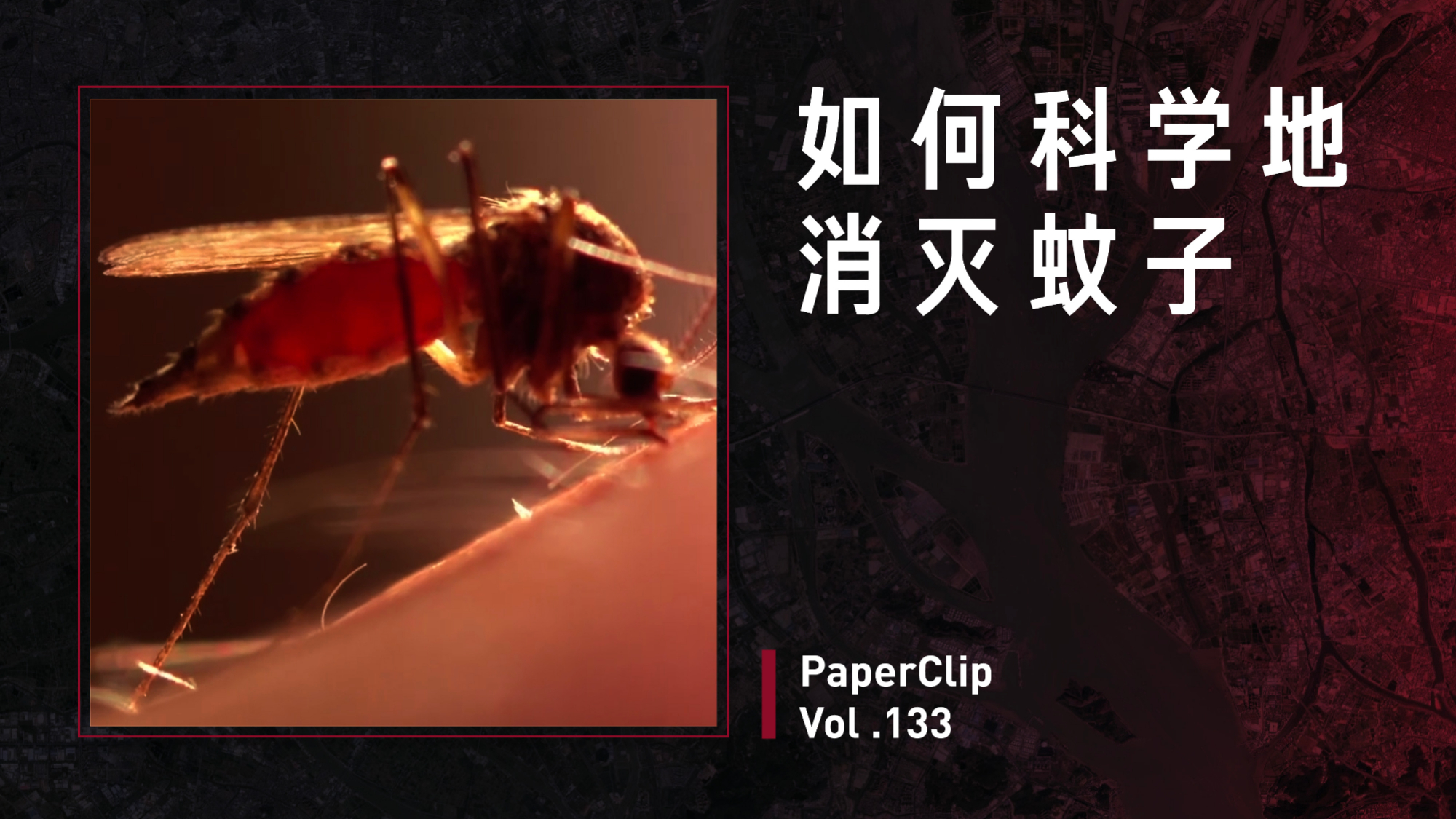 Vol.133 如何科学地消灭蚊子