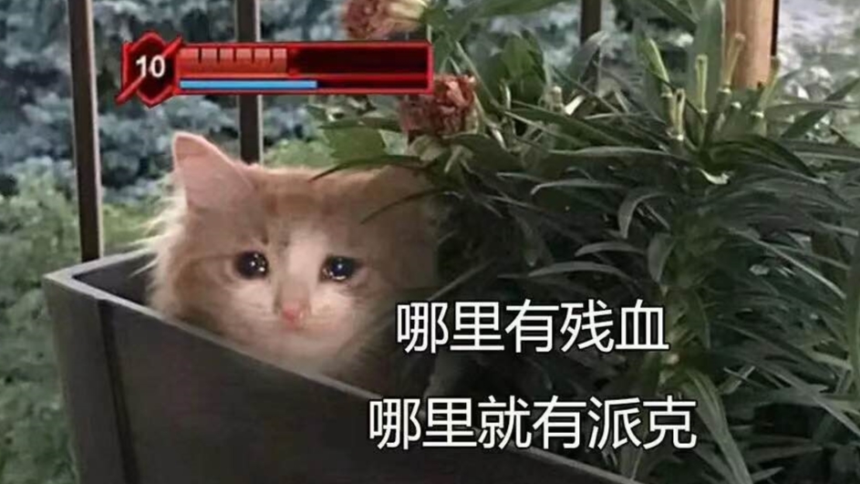 这就是克隆派克?