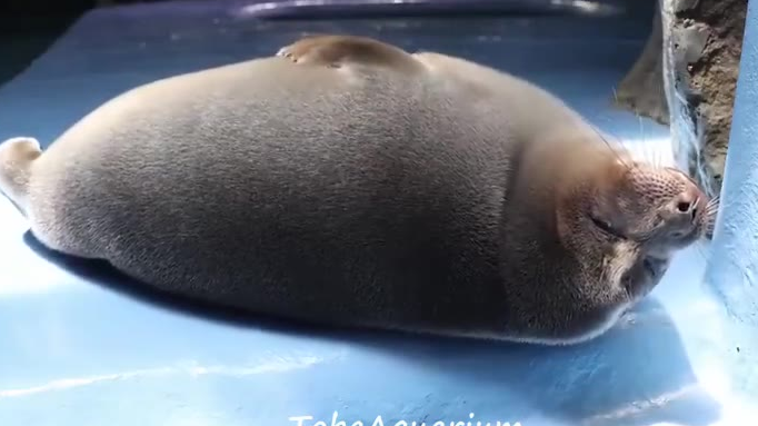 吃完饭的你