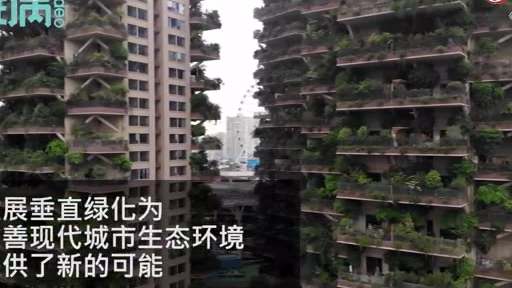 成都一小区30层高楼长满树木