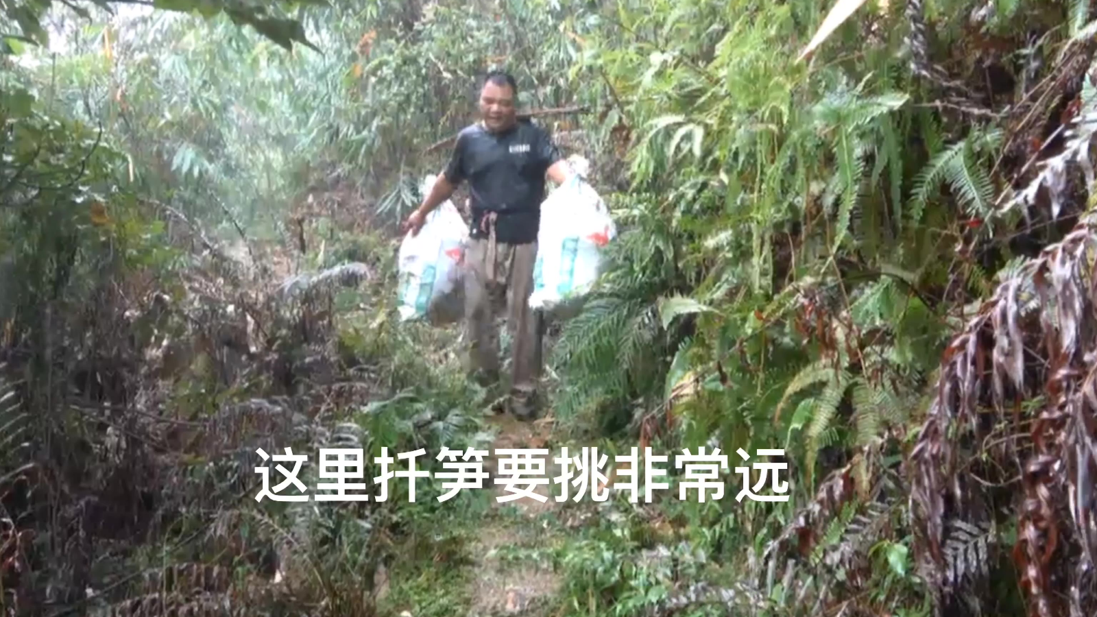 华哥冒雨扦笋,吩咐摄影师:如果我摔跤了你先把视频拍完再抢救