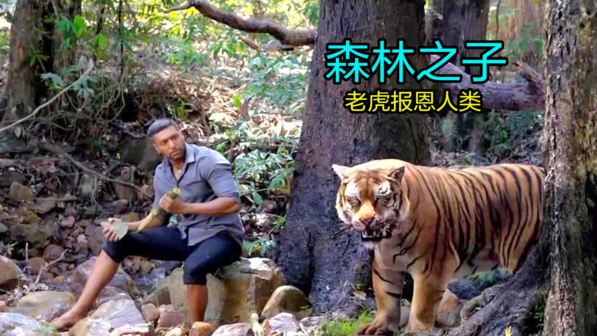 奇幻片:男主救了一只老虎,没想到老虎报恩,为他单挑整支军队