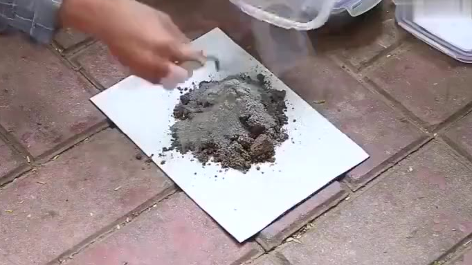 老鼠:这是人干的事儿吗