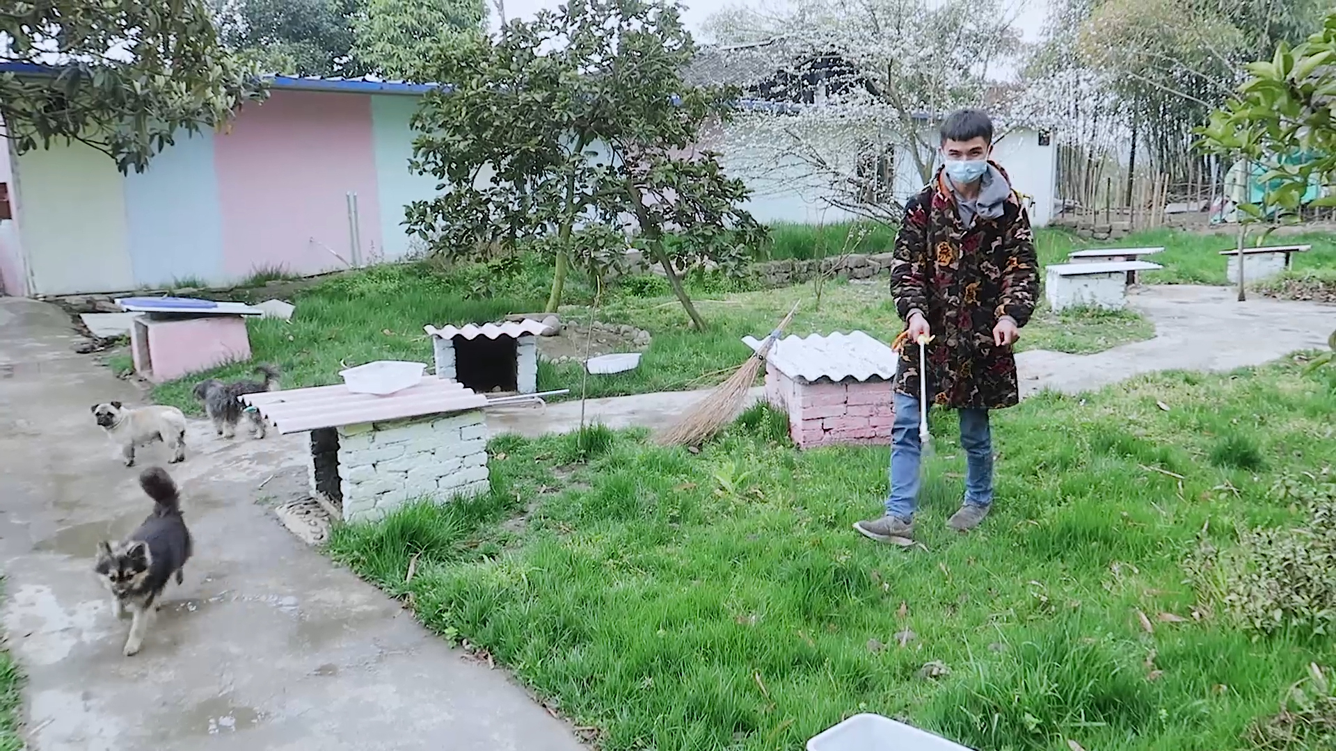 救助站日常:疫情期间对狗舍全面消毒,确保狗子们健康