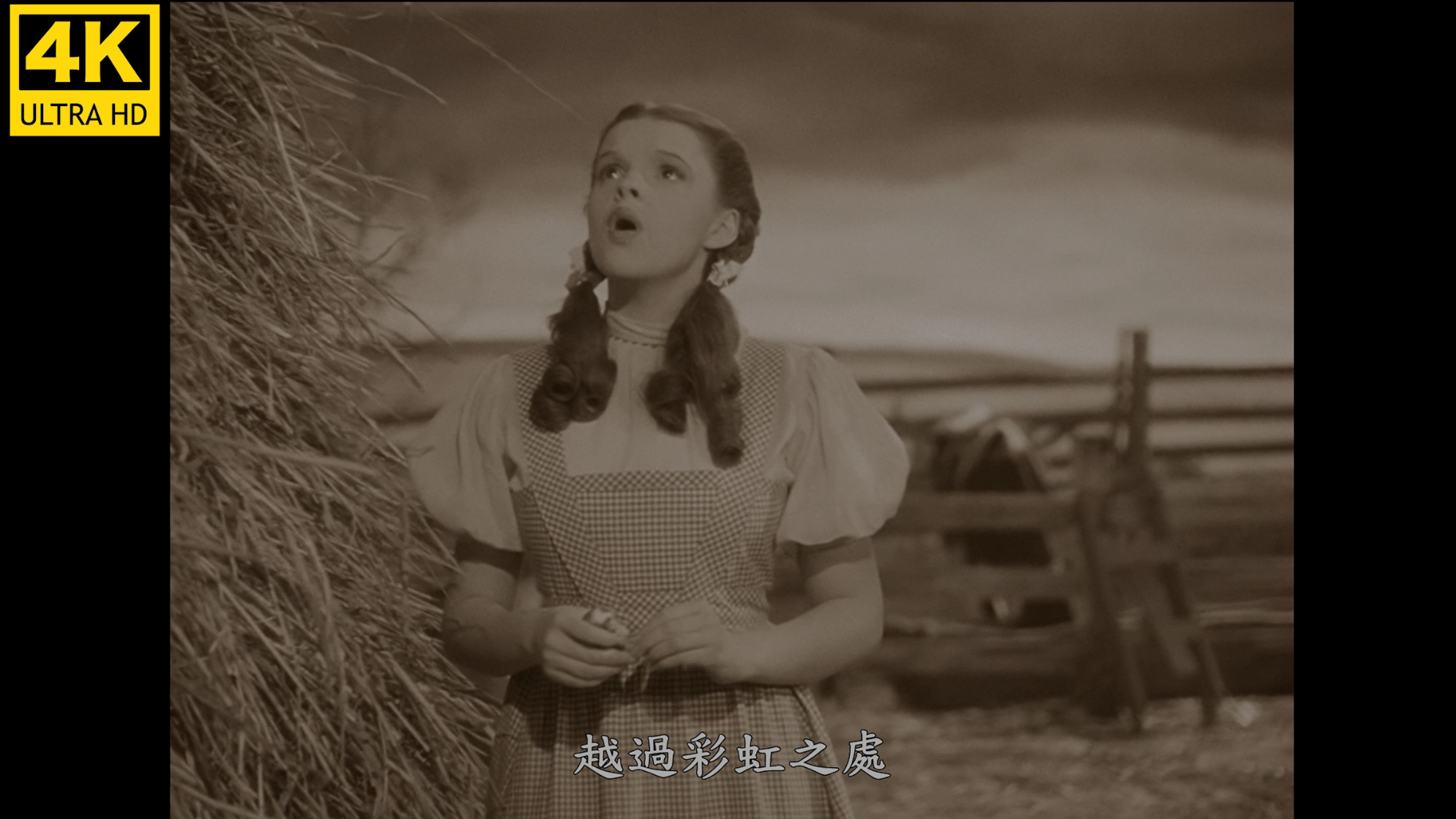 看了这个视频,你就了解到人工智能的强大之处