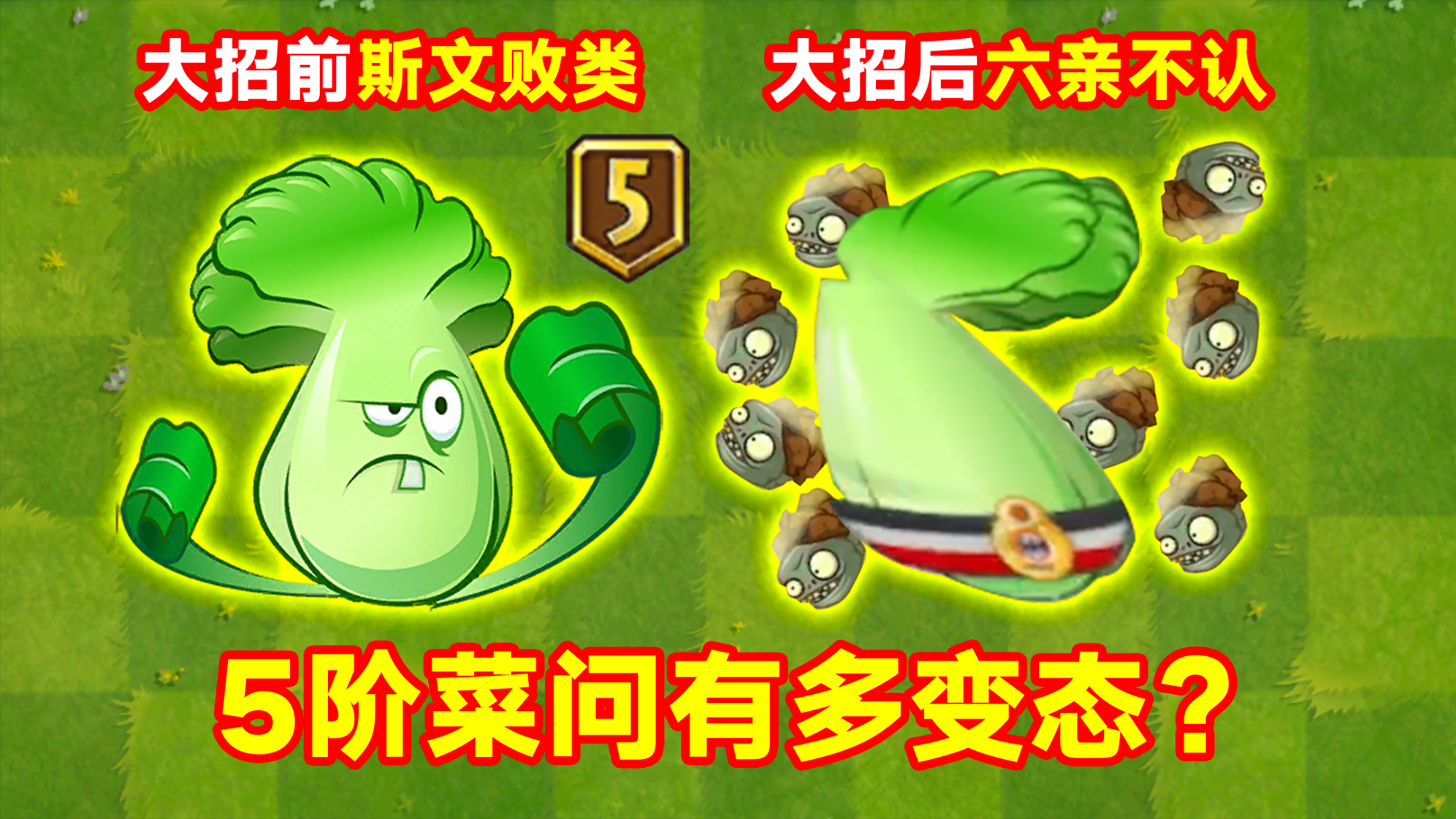 pvz2 5阶菜问到手