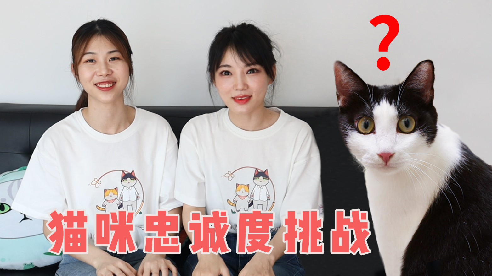 让朋友假扮自己,家里突然换铲屎官,猫能认出来吗?