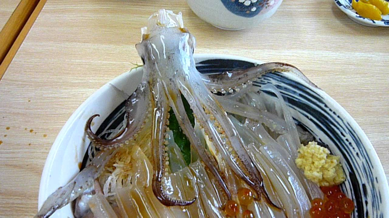 会跳舞的鱿鱼盖浇饭,鱿鱼的触手在碗中起舞,看着都瘆人,你敢吃吗?