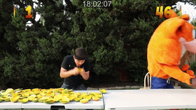 挑战恰100多磅Wumpa水果外卖(其实就是芒果啦)