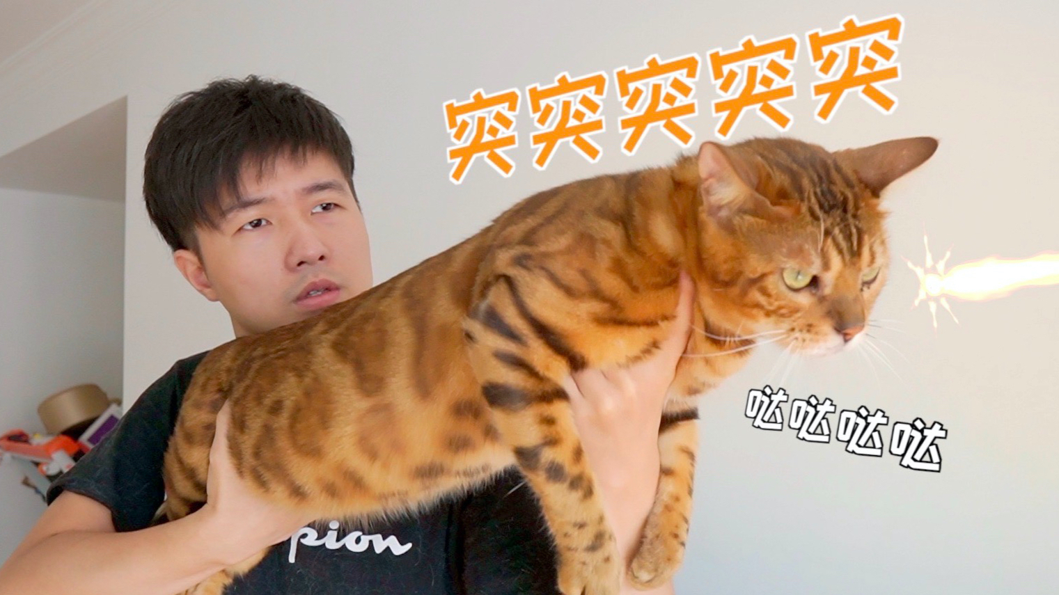 男人养猫,活着就好…