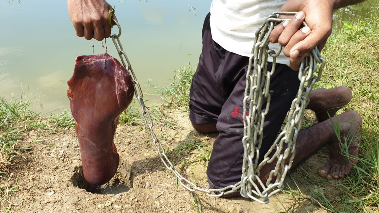 羊肝钓鱼效果好?小伙立马买来羊肝,到野外水塘静等收货!