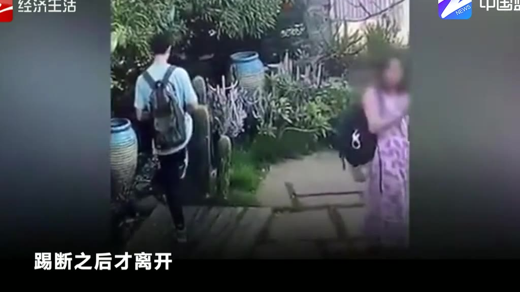 年轻人脚踢仙人掌 母亲称“他还是个孩子”