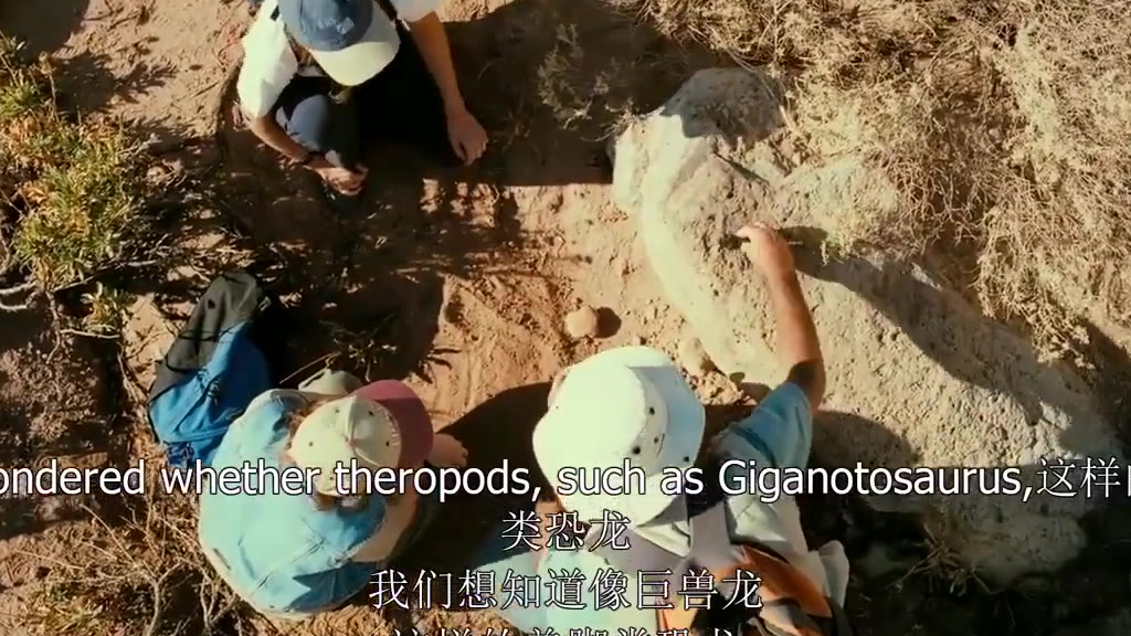 纪录片《恐龙再现》