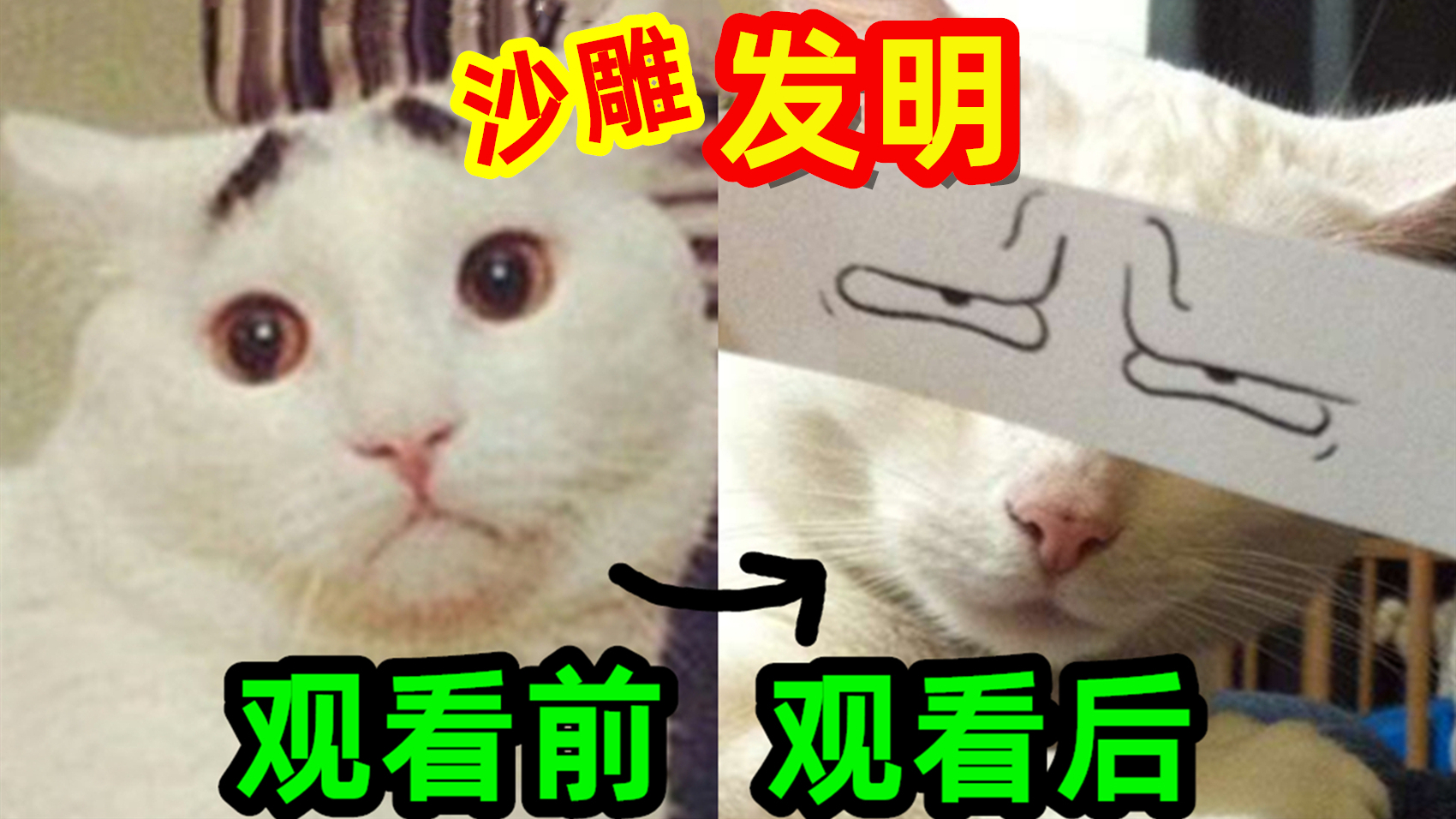 【扯蛋级】沙雕小发明!当心笑到模糊!!