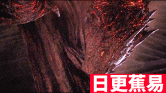 ★日更蕉易★网络上常见的经典gif动态图源视频集合 第一百九十期