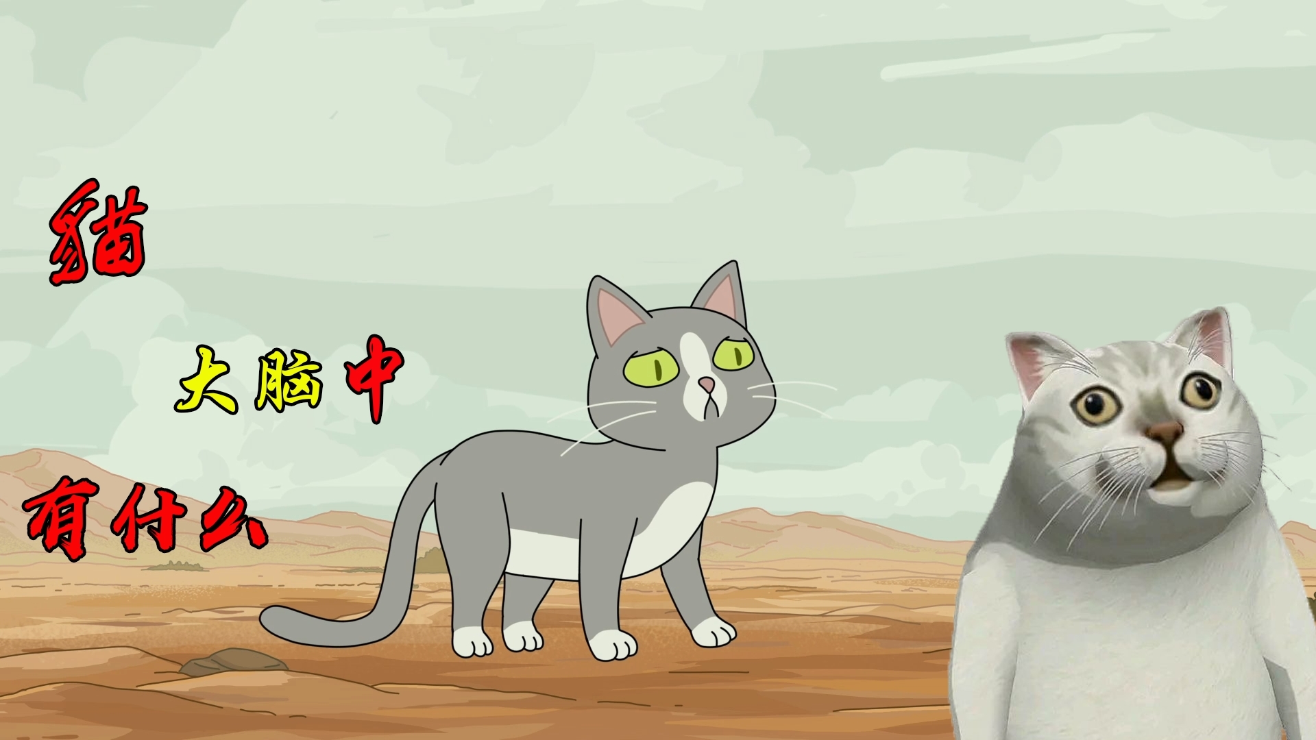 对会说话的猫全面解析·《瑞克与莫蒂》S4E4解说细节·下