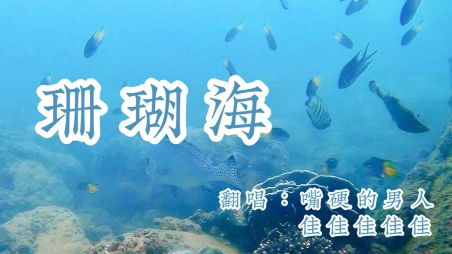 珊瑚海
