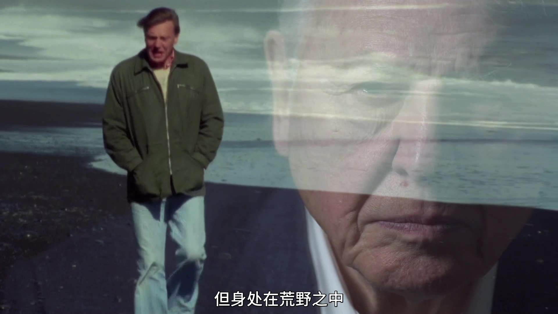 【纪录片】【大卫.爱登堡:地球上的一段生命旅程】【2020】【1080P】【中字】