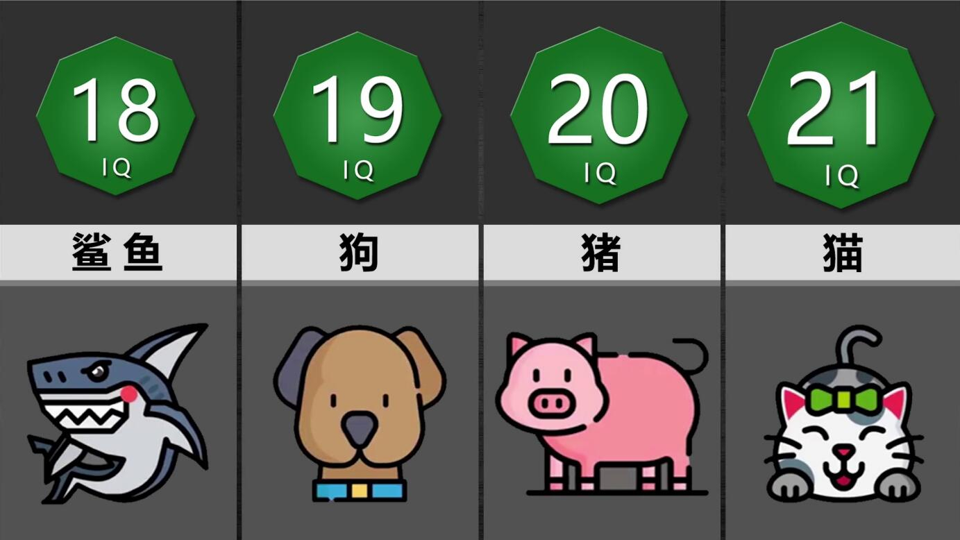 全球智商(IQ)大排名 人类光荣上榜但却只能排第二!