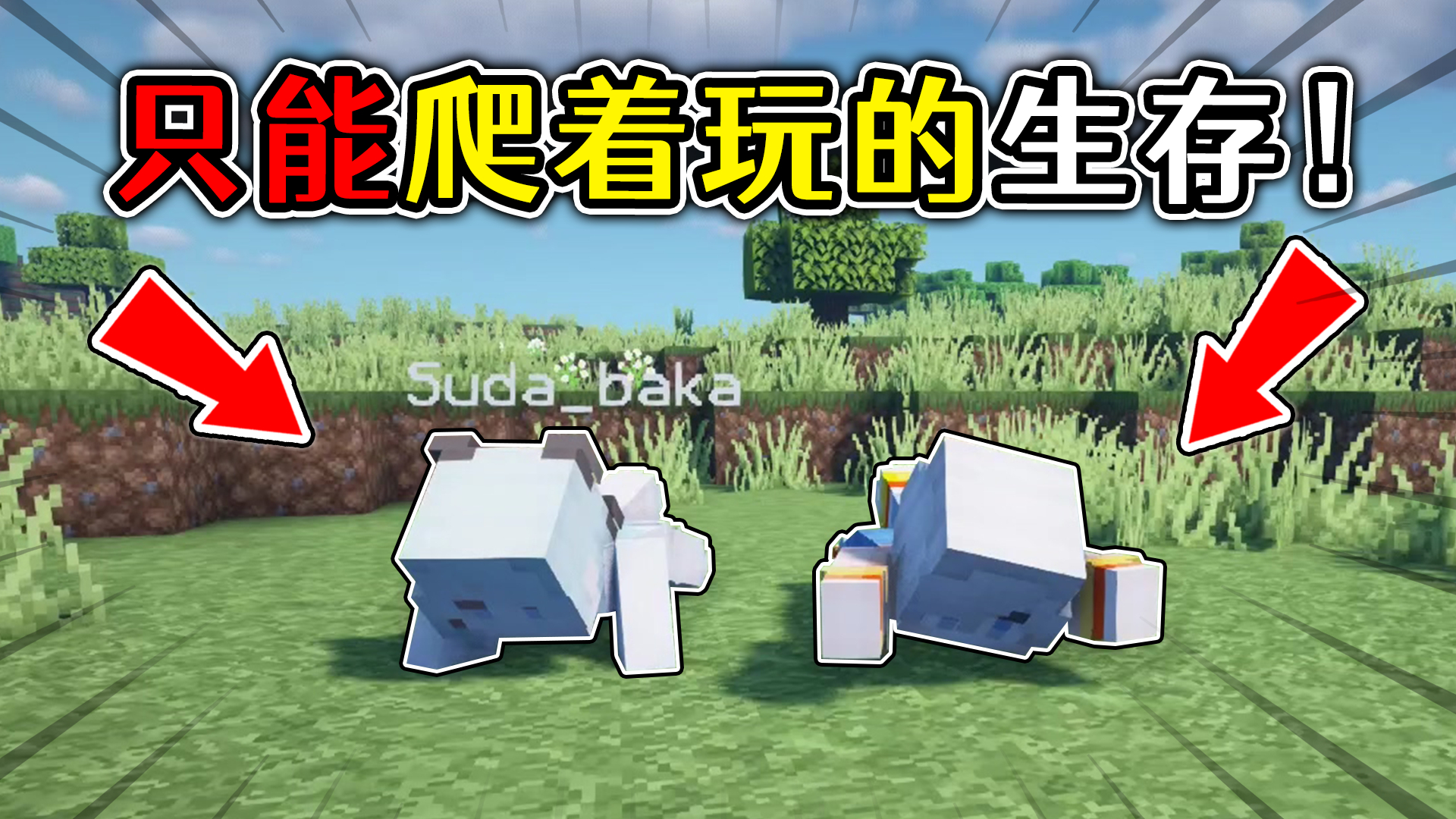 我的世界:只能爬着玩的生存?卑鄙的一格人,乌龟都比我跑得快!