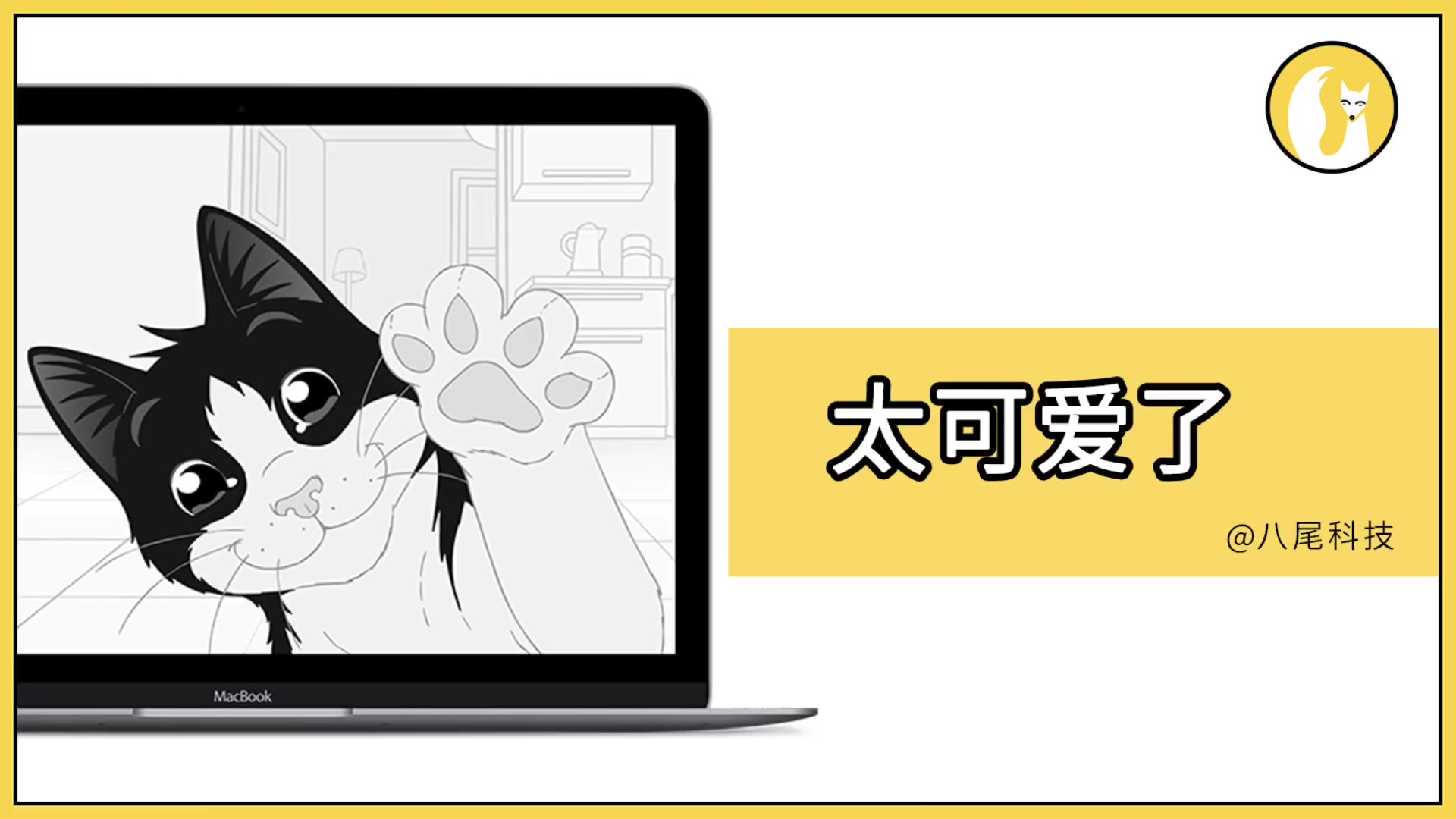 超萌猫咪电脑桌面屏保,网友都说好玩!