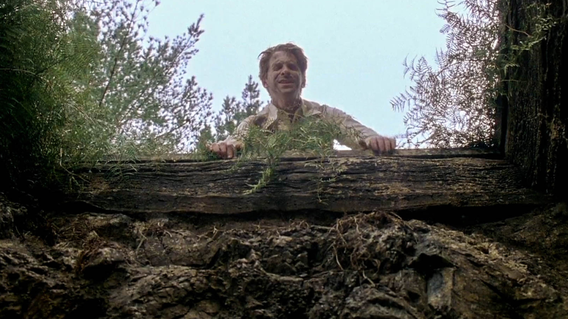 《格林》大脚怪篇,妖怪深夜入室吃人,这次踢到铁板闯进了狼人家