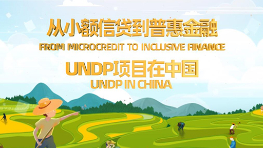 从小额信贷到普惠金融—联合国开发计划署项目在中国
