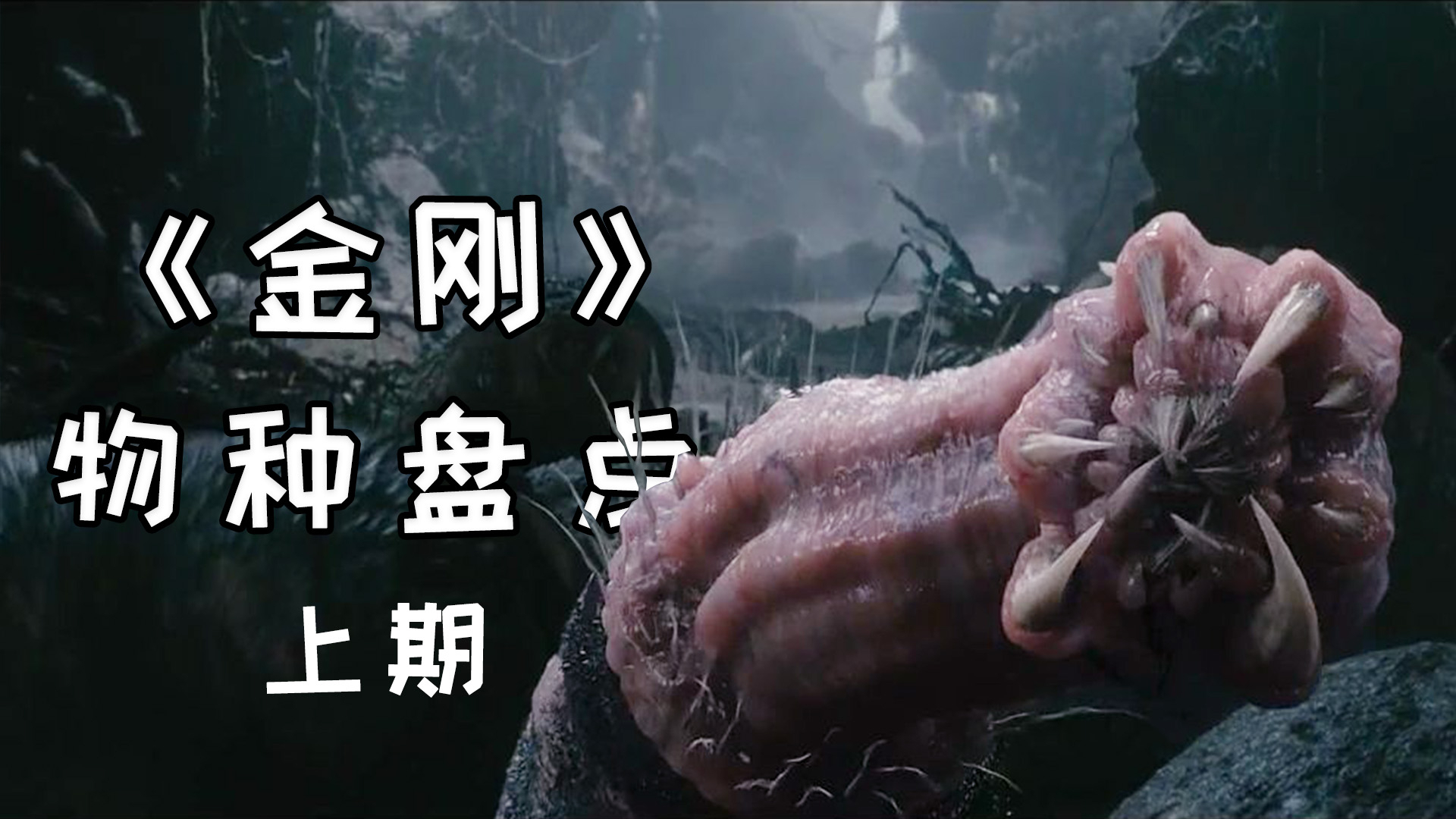 金刚骷髅岛中的物种大起底,可怕的神秘生物将是梦魇的开始