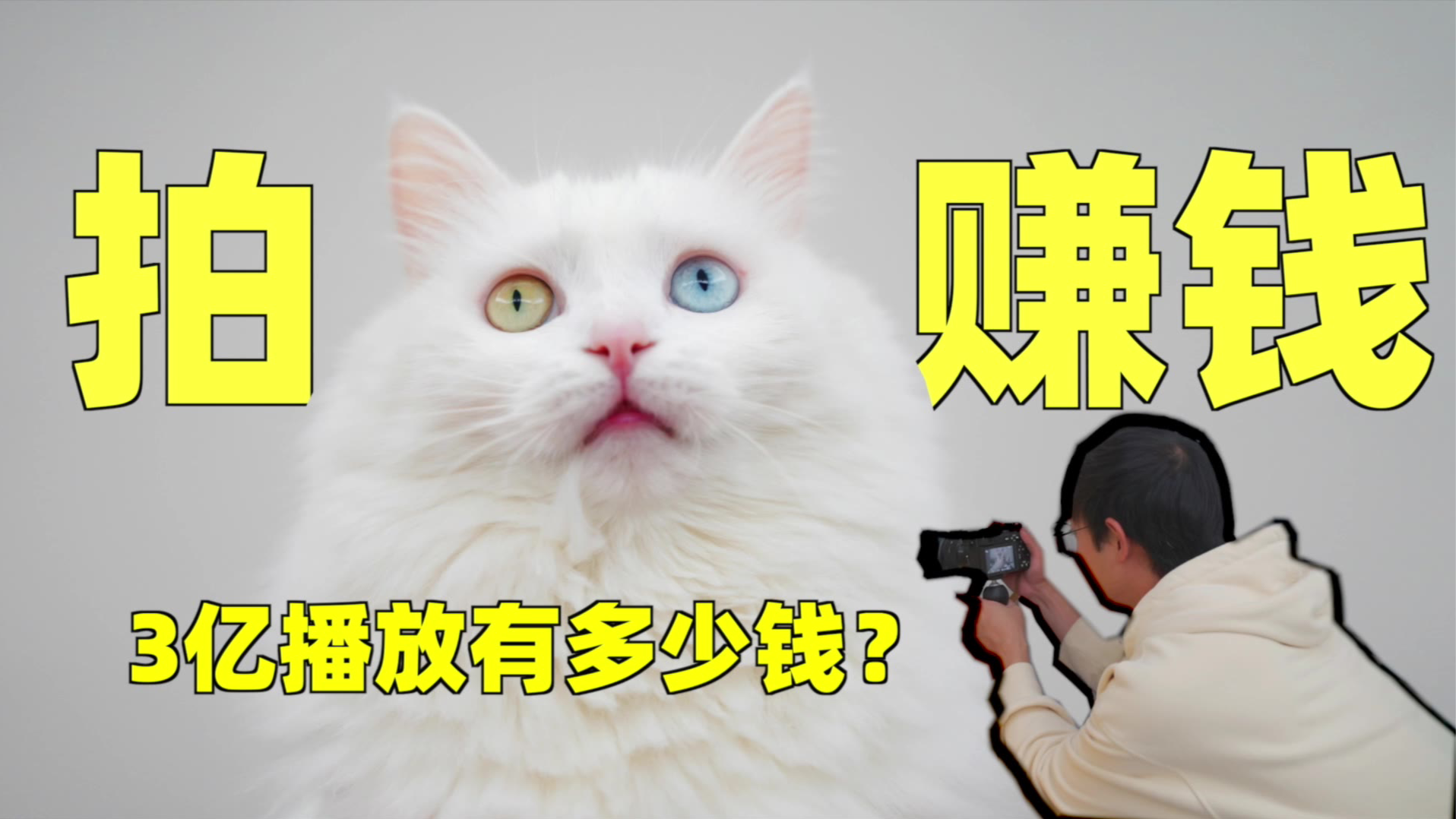 拍猫就能年入百万?小伙真实经历告诉你3亿播放有多少钱!