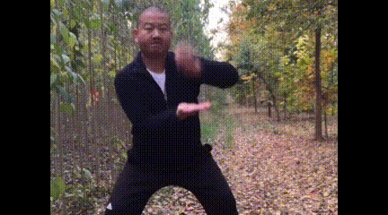 小阿giao螃蟹舞!!【搞笑视频集锦】日常更新 逗比 搞笑视频 沙雕视频