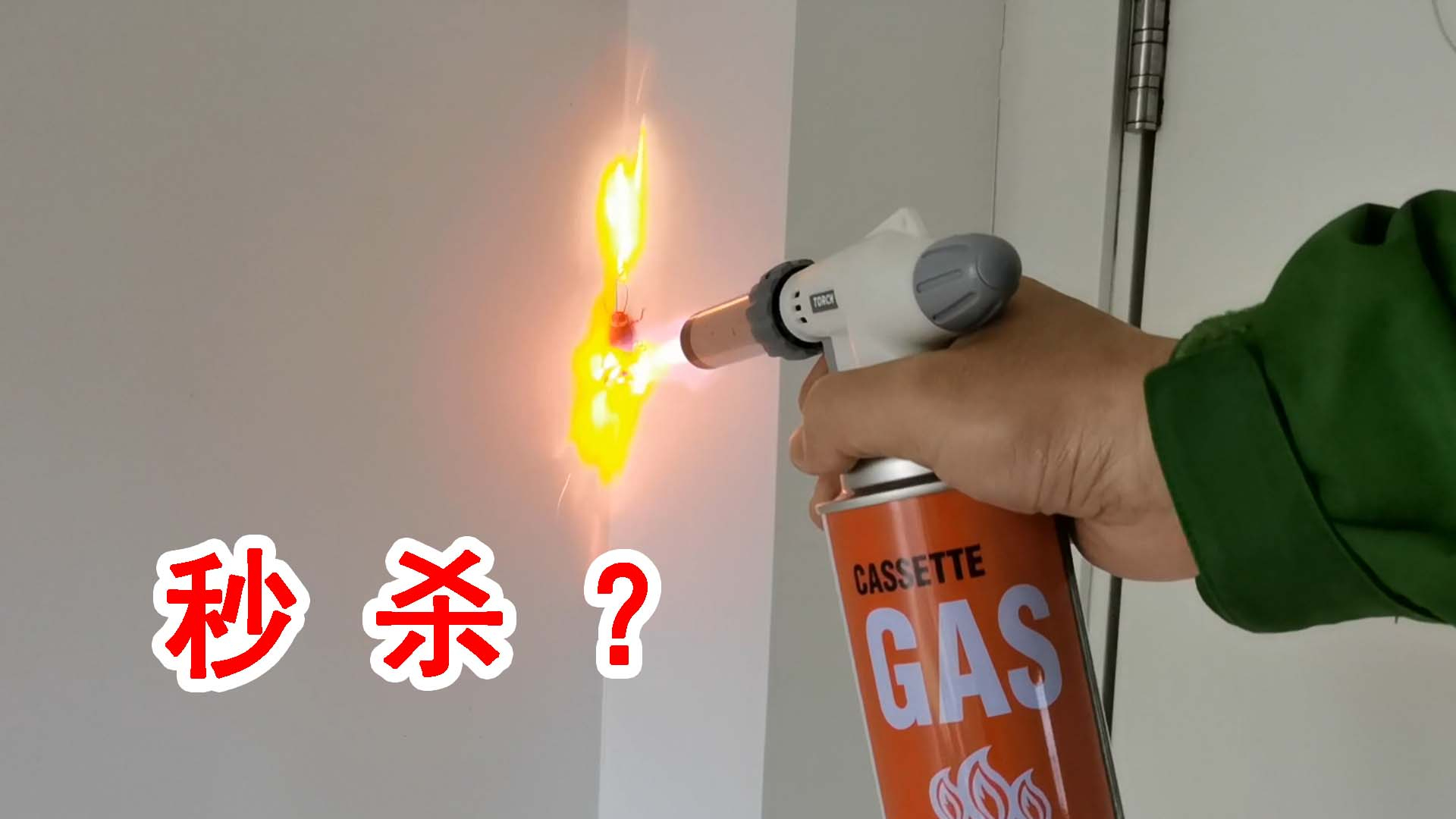 如何做到瞬间秒杀蟑螂、蜈蚣、蚂蚁等家栖害虫?