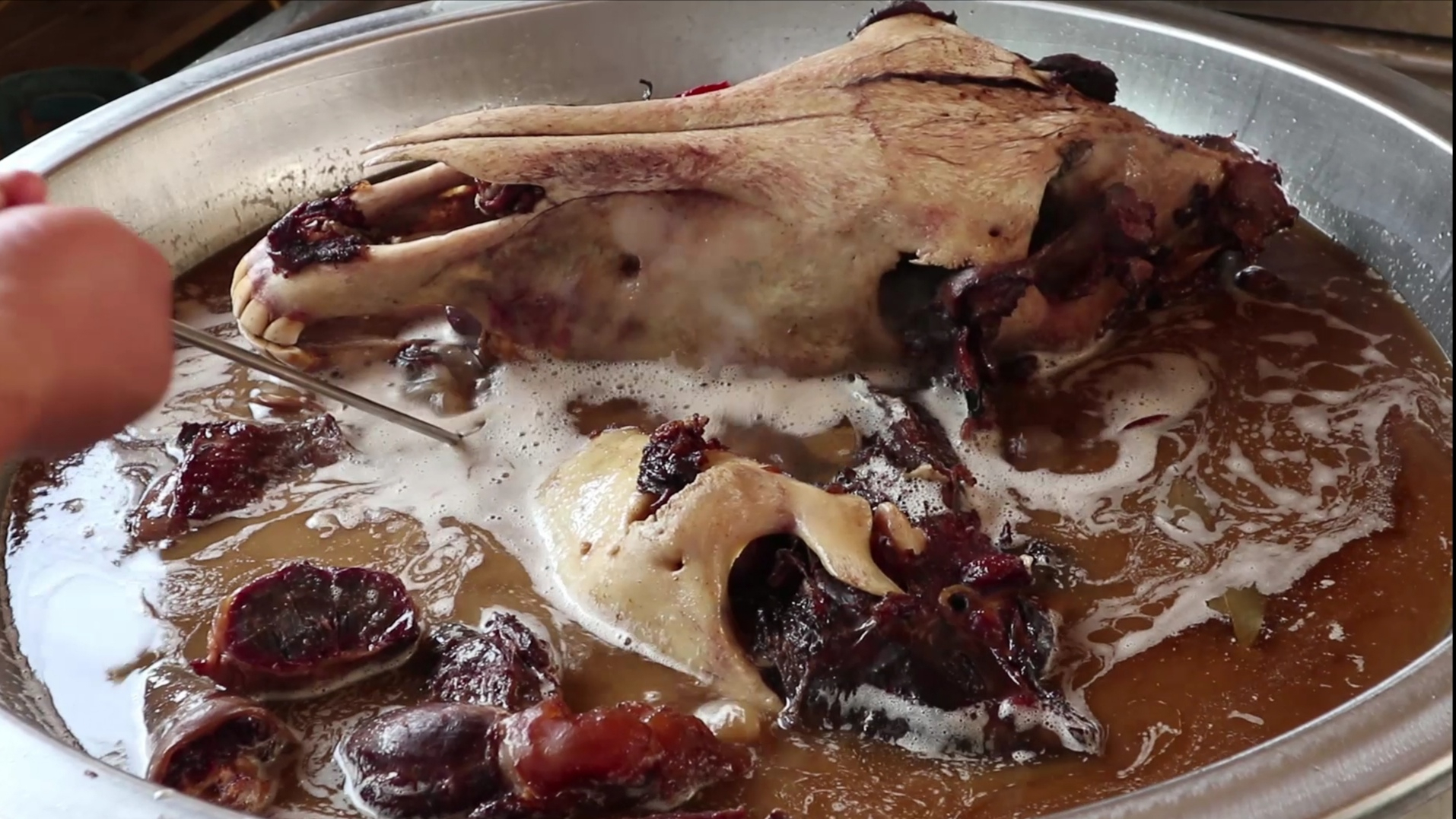 百万粉丝网红康大飞摆摊卖羊肉串自称血亏300元今天一探究竟