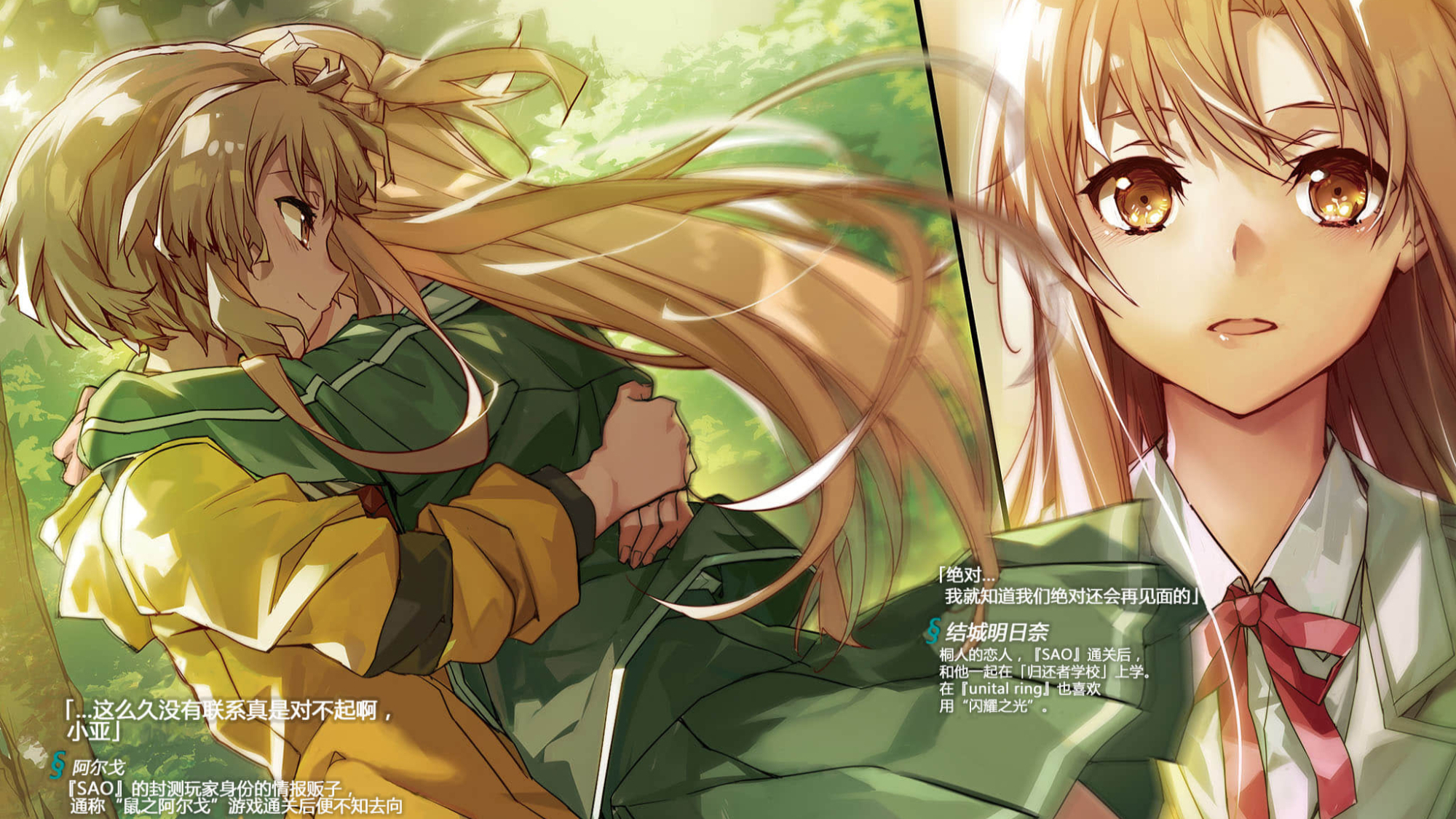 刀剑神域ur篇小说插图