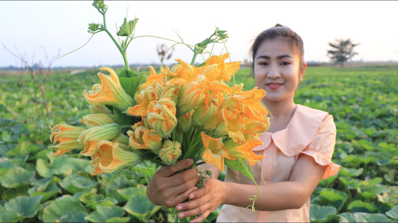 去南瓜农场摘南瓜,南瓜花,南瓜叶做饭