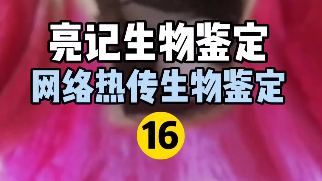 网络热传生物鉴定 第16期
