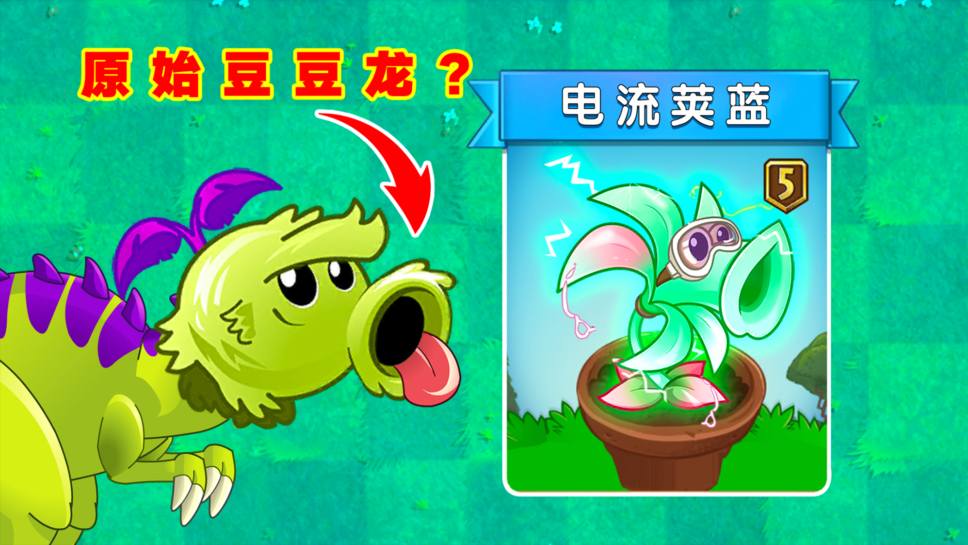 pvz新植物:电流荚兰!会比暗影荚兰更变态吗?