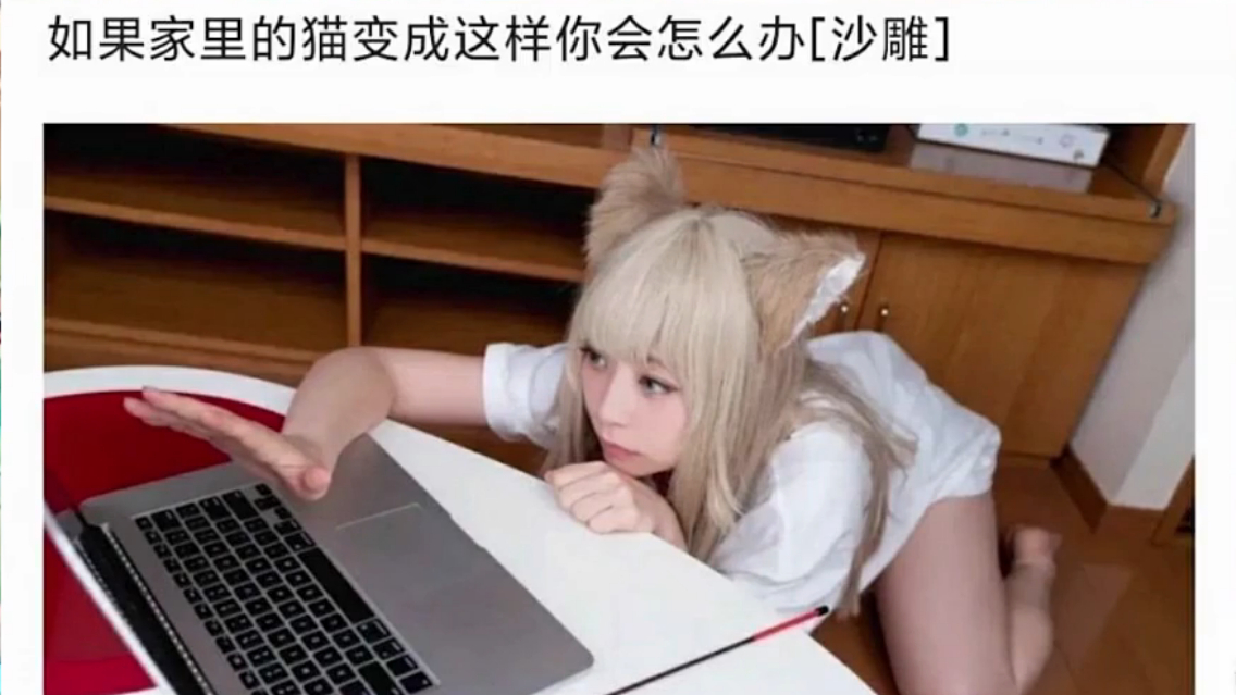 如果家里的猫变成这样你会怎么办?沙雕图-184