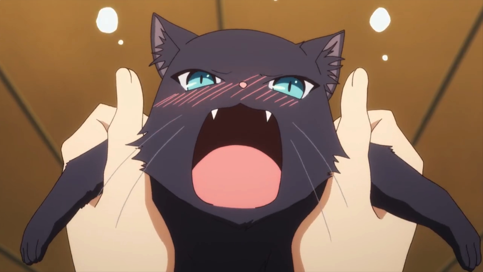 当妹子变成猫咪后