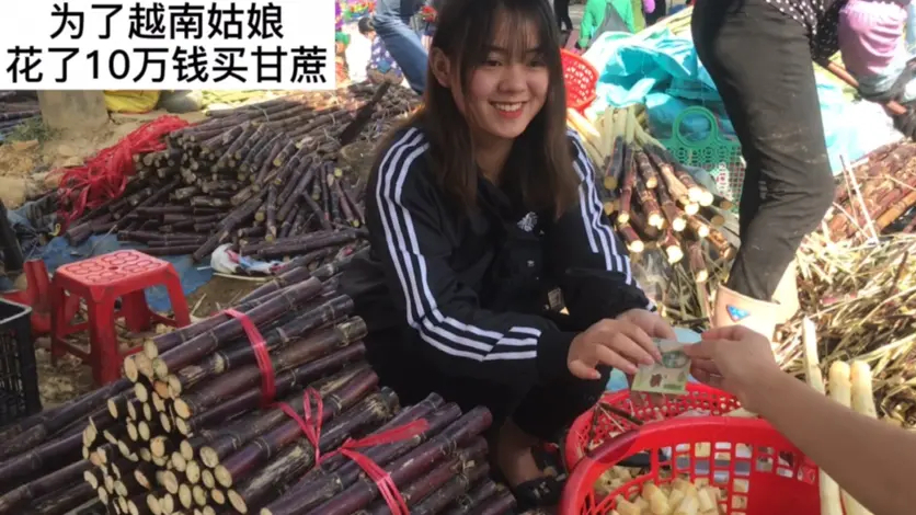 【你们想看的甘蔗妹又来了】花10万钱买了越南姑娘的甘蔗,然后把甘蔗送给陌生人