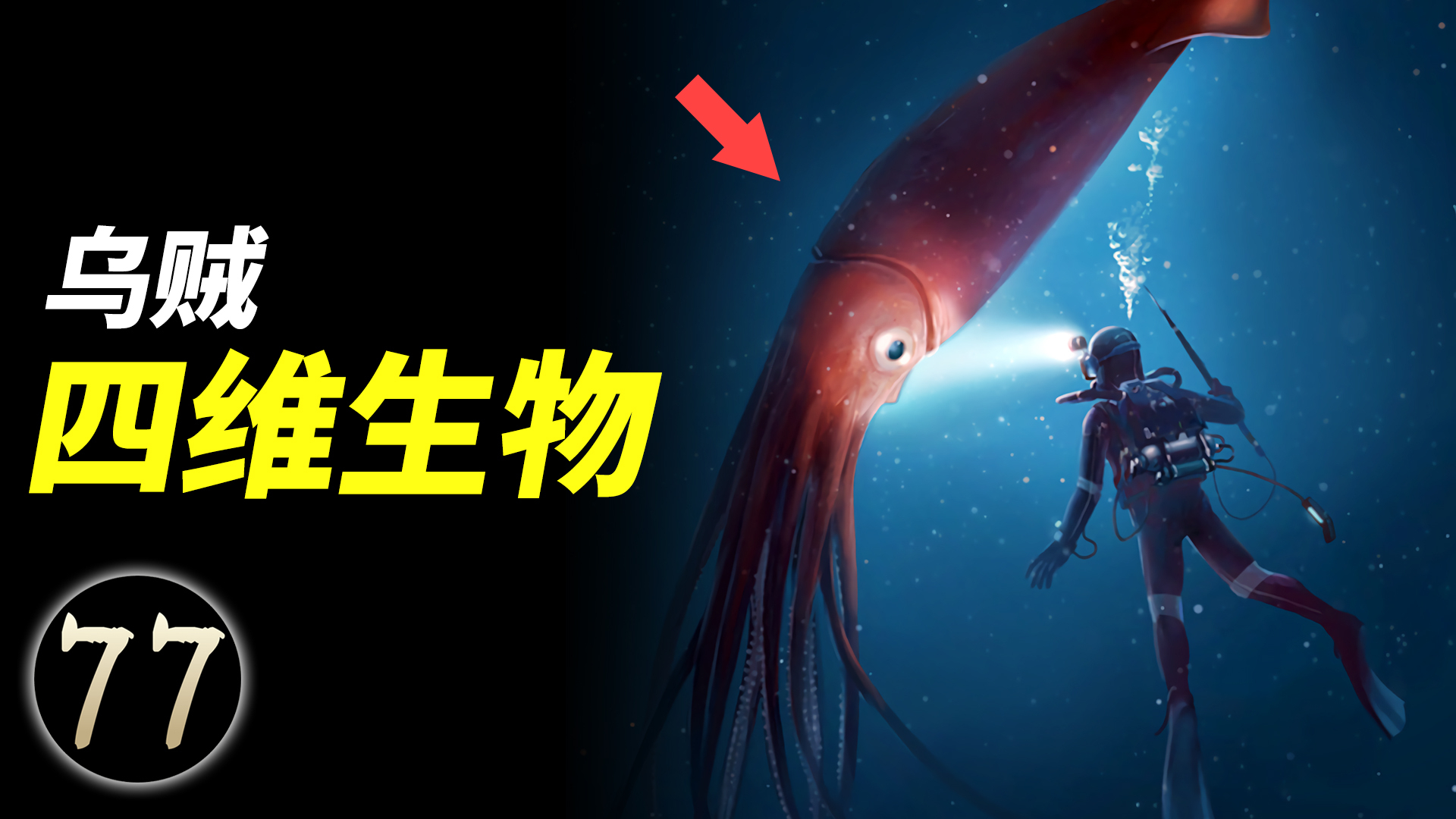 为什么乌贼是四维生物?我们人类是否可以进入四维空间?
