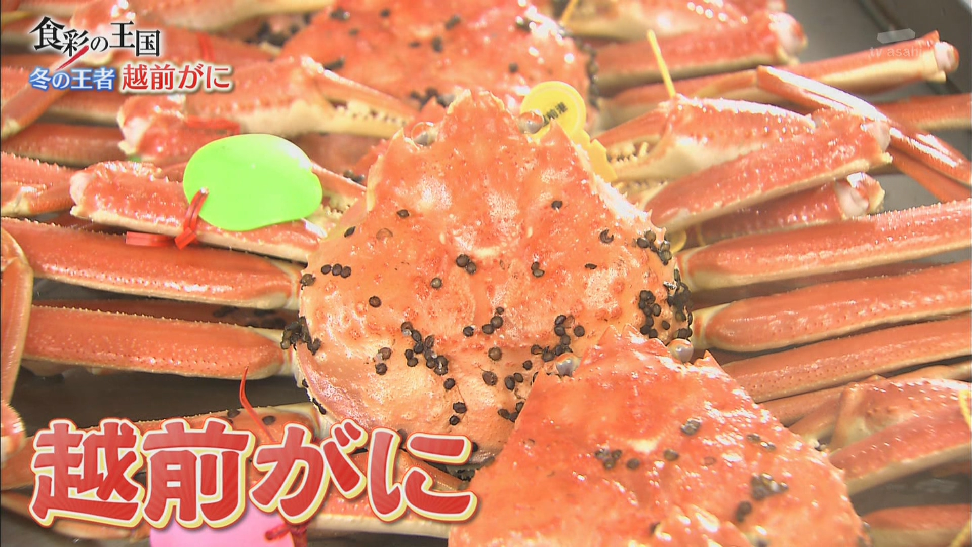食彩之国 第862回 日本海的宝石 越前螃蟹
